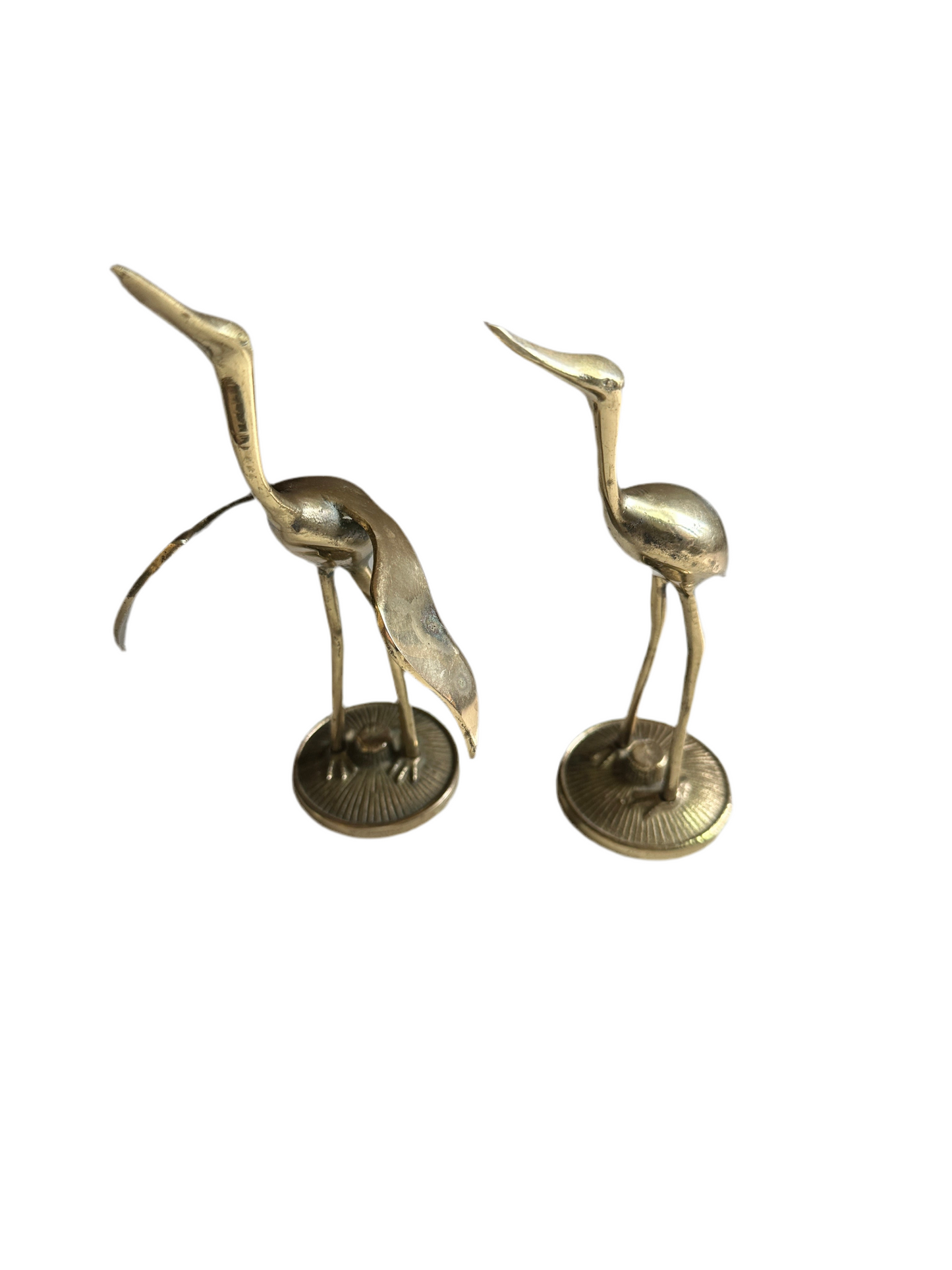 Brass Brids