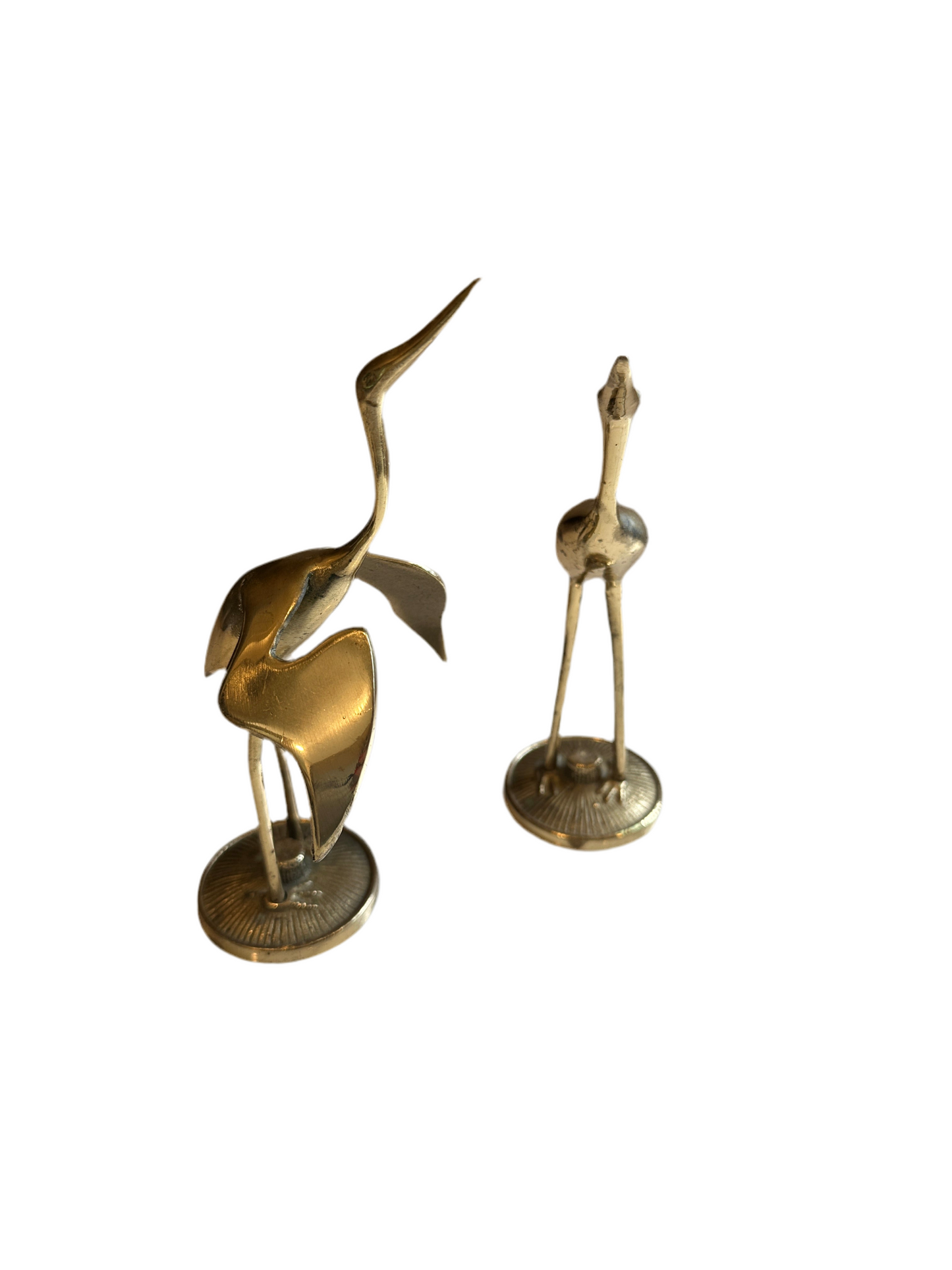 Brass Brids