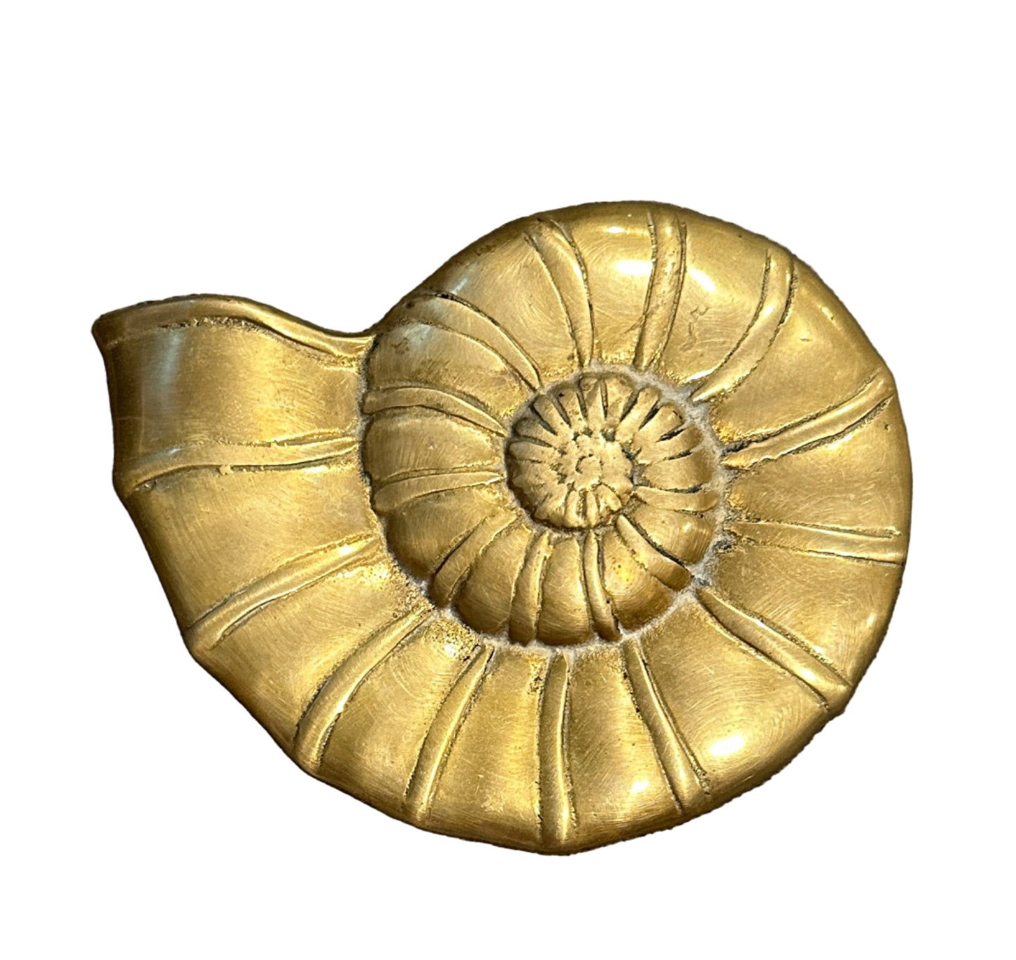 Brass Nautilus