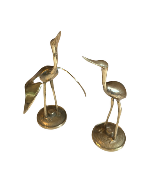 Brass Brids