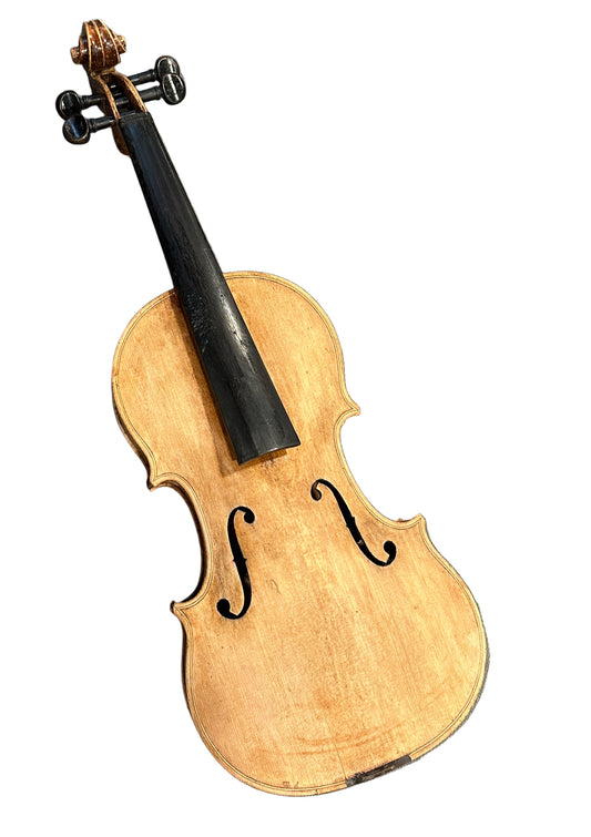 Violin